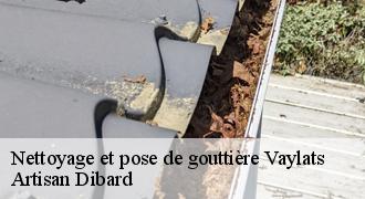 Nettoyage et pose de gouttière