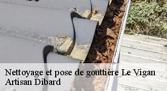 Nettoyage et pose de gouttière