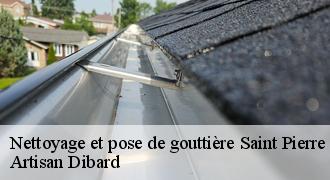 Nettoyage et pose de gouttière