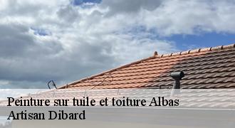 Peinture sur tuile et toiture