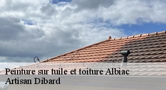 Peinture sur tuile et toiture
