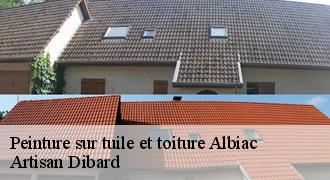 Peinture sur tuile et toiture