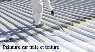 Peinture sur tuile et toiture