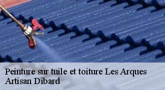 Peinture sur tuile et toiture