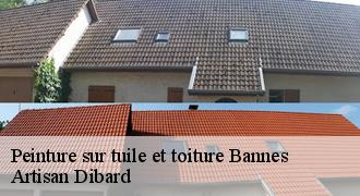Peinture sur tuile et toiture