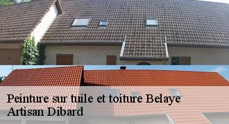 Peinture sur tuile et toiture