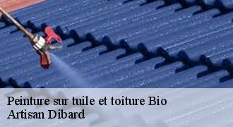 Peinture sur tuile et toiture