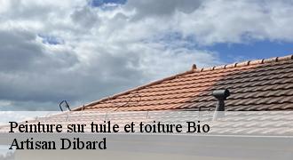 Peinture sur tuile et toiture