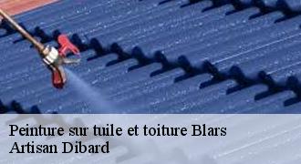 Peinture sur tuile et toiture