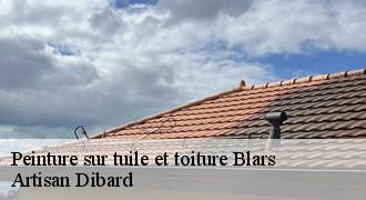 Peinture sur tuile et toiture