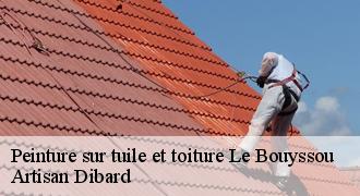 Peinture sur tuile et toiture