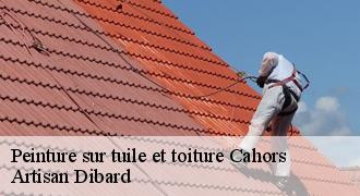 Peinture sur tuile et toiture