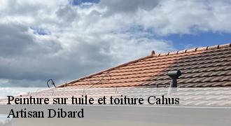 Peinture sur tuile et toiture