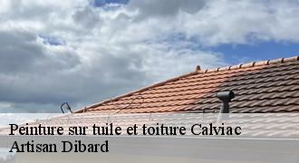 Peinture sur tuile et toiture