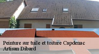 Peinture sur tuile et toiture