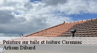 Peinture sur tuile et toiture