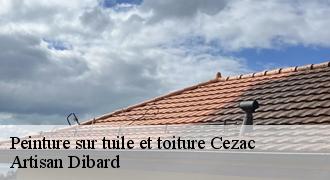 Peinture sur tuile et toiture