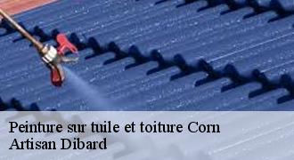 Peinture sur tuile et toiture