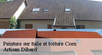 Peinture sur tuile et toiture