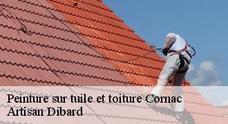 Peinture sur tuile et toiture