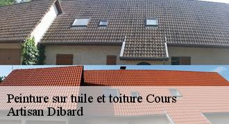 Peinture sur tuile et toiture