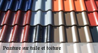 Peinture sur tuile et toiture