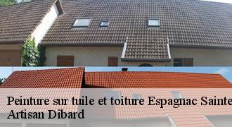 Peinture sur tuile et toiture