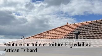 Peinture sur tuile et toiture