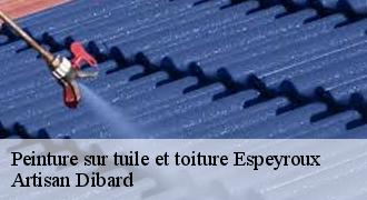 Peinture sur tuile et toiture