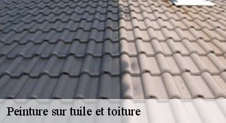 Peinture sur tuile et toiture