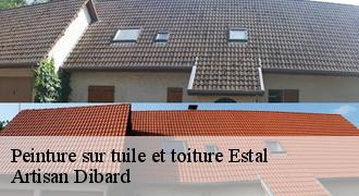 Peinture sur tuile et toiture