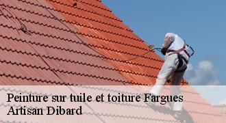 Peinture sur tuile et toiture