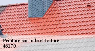 Peinture sur tuile et toiture