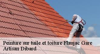 Peinture sur tuile et toiture
