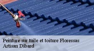 Peinture sur tuile et toiture