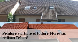 Peinture sur tuile et toiture