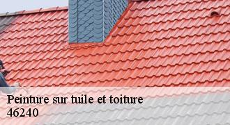 Peinture sur tuile et toiture