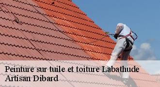 Peinture sur tuile et toiture
