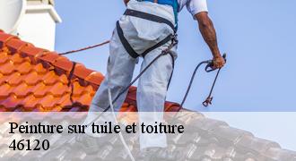 Peinture sur tuile et toiture