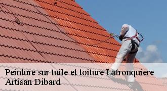 Peinture sur tuile et toiture