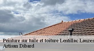 Peinture sur tuile et toiture