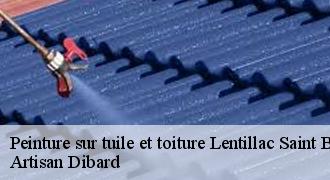 Peinture sur tuile et toiture