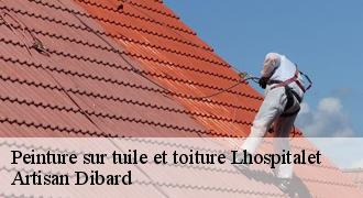 Peinture sur tuile et toiture