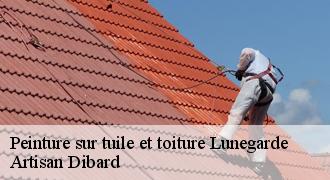 Peinture sur tuile et toiture