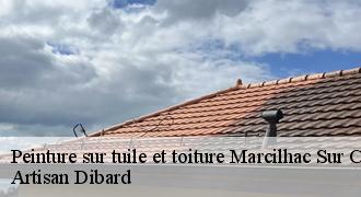 Peinture sur tuile et toiture