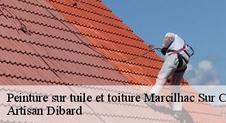 Peinture sur tuile et toiture
