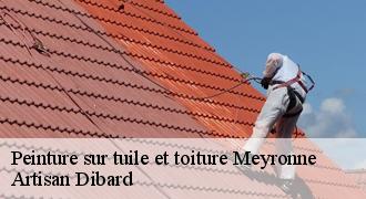 Peinture sur tuile et toiture