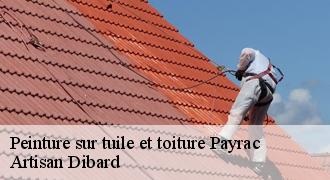 Peinture sur tuile et toiture