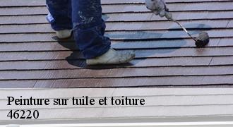 Peinture sur tuile et toiture