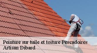 Peinture sur tuile et toiture